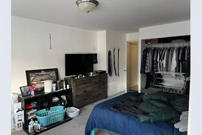 222 E Pearson Street #2604, Chicago, IL 60611 - Photo 18