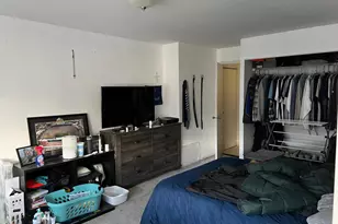 222 E Pearson St, Chicago, IL 60611 - Photo 18