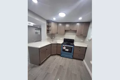 3814 W Ohio Street, Chicago, IL 60624 - Photo 24