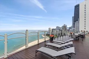 1150 N Lake Shore Dr, Chicago, IL 60611 - Photo 16
