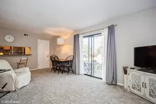 4 Oak Creek Dr, Buffalo Grove, IL 60089 - Photo 10
