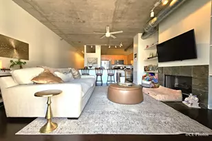 720 N Larrabee St, Chicago, IL 60654 - Photo 6