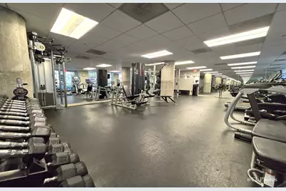 720 N Larrabee Street #1104, Chicago, IL 60654 - Photo 22