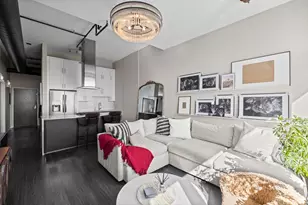 50 E 16th St, Chicago, IL 60616 - Photo 4