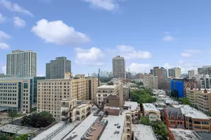 431 W Oakdale Ave, Chicago, IL 60657 - Photo 22
