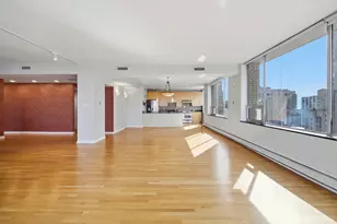 1000 N Lake Shore Plaza, Chicago, IL 60611 - Photo 4