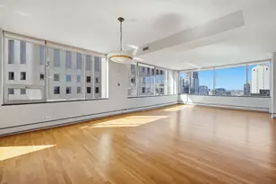 1000 N Lake Shore Plaza, Chicago, IL 60611 - Photo 6