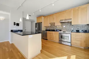 1000 N Lake Shore Plaza, Chicago, IL 60611 - Photo 8