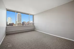 1000 N Lake Shore Plaza, Chicago, IL 60611 - Photo 18