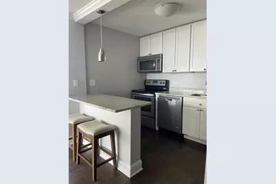 1455 N Sandburg Terrace #1609, Chicago, IL 60610 - Photo 2