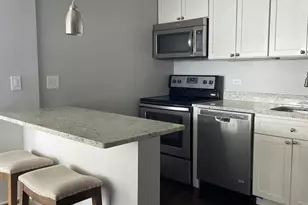 1455 N Sandburg Terrace, Chicago, IL 60610 - Photo 2