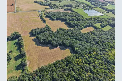 551 County Highway 16 Highway, Cisne, IL 62823 - Photo 20