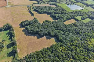 551 County Hwy 16 Hwy, Cisne, IL 62823 - Photo 20