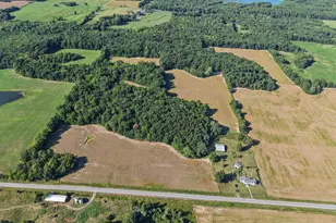 551 County Hwy 16 Hwy, Cisne, IL 62823 - Photo 24