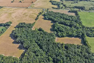 551 County Hwy 16 Hwy, Cisne, IL 62823 - Photo 18