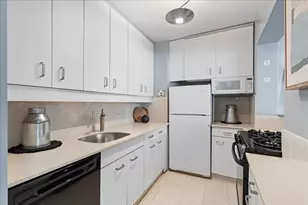 1150 N Lake Shore Dr, Chicago, IL 60611 - Photo 6