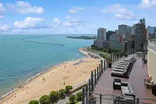1150 N Lake Shore Dr, Chicago, IL 60611 - Photo 14