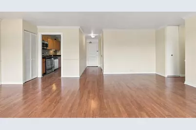 1555 N Sandburg Terrace #201, Chicago, IL 60610 - Photo 4