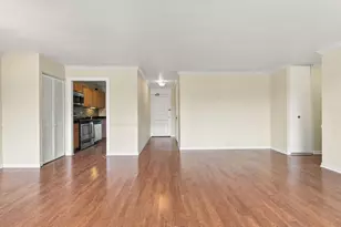 1555 N Sandburg Terrace, Chicago, IL 60610 - Photo 4
