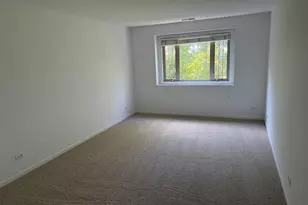 152 Finstad Dr, Libertyville, IL 60048 - Photo 12