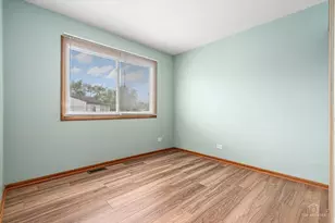 20203 S Fairwood Ct, Frankfort, IL 60423 - Photo 16