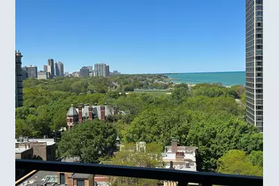 1450 N Astor Street #15AB, Chicago, IL 60610 - Photo 24