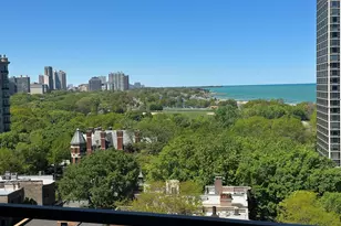 1450 N Astor St, Chicago, IL 60610 - Photo 24