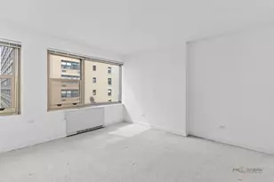 247 E Chestnut St, Chicago, IL 60611 - Photo 14