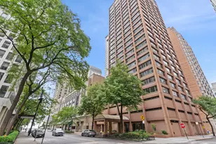 247 E Chestnut St, Chicago, IL 60611 - Photo 1