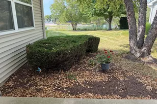 1607 Cadillac Cir, Romeoville, IL 60446 - Photo 20