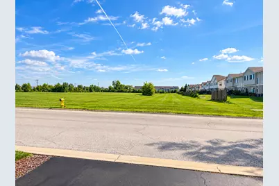 21122 Gray Hawk Drive, Matteson, IL 60443 - Photo 16