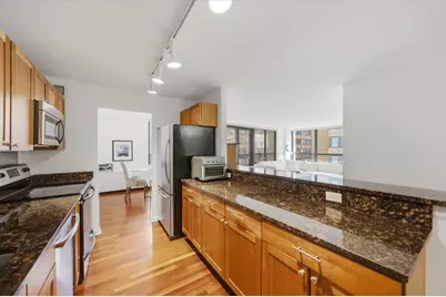 222 E Pearson Street #1901, Chicago, IL 60611 - Photo 4