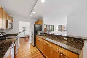 222 E Pearson St, Chicago, IL 60611 - Photo 4