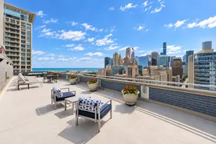 222 E Pearson St, Chicago, IL 60611 - Photo 24