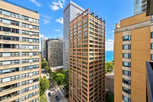 222 E Pearson St, Chicago, IL 60611 - Photo 10