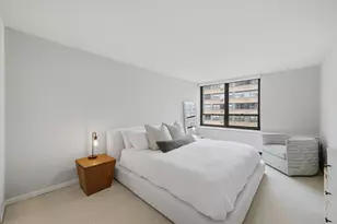 222 E Pearson St, Chicago, IL 60611 - Photo 12