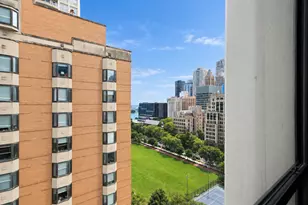 222 E Pearson St, Chicago, IL 60611 - Photo 22