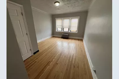1441 W 93rd Street #2, Chicago, IL 60620 - Photo 4
