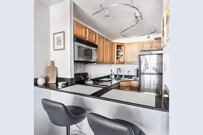 88 W Schiller Street #1003L, Chicago, IL 60610 - Photo 6