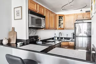 88 W Schiller St, Chicago, IL 60610 - Photo 6