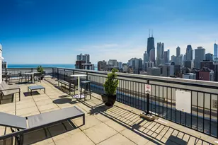 88 W Schiller St, Chicago, IL 60610 - Photo 14