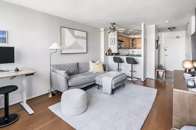 88 W Schiller Street #1003L, Chicago, IL 60610 - Photo 2