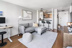 88 W Schiller St, Chicago, IL 60610 - Photo 2