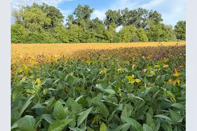 0 Route 47, Woodstock, IL 60098 - Photo 20