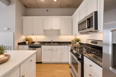 720 N Larrabee Street #1509, Chicago, IL 60654 - Photo 4
