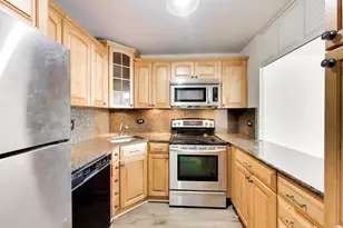 1555 N Sandburg Terrace, Chicago, IL 60610 - Photo 8