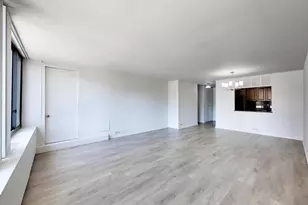 1555 N Sandburg Terrace, Chicago, IL 60610 - Photo 6