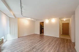 211 E Ohio St, Chicago, IL 60611 - Photo 4