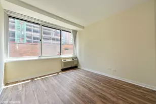 211 E Ohio St, Chicago, IL 60611 - Photo 12