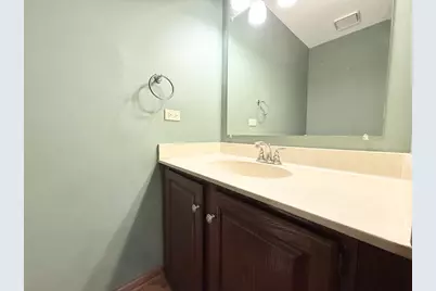 879 N Auburn Woods Drive, Palatine, IL 60067 - Photo 14